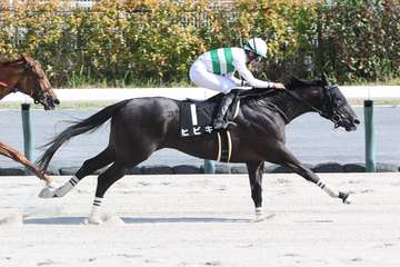 岩田望来騎手がフランス遠征から帰国後初勝利　中京10RをヒビキでV