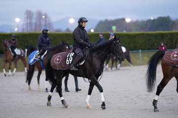 【今週の注目新馬】関西のラスト新馬戦はデュアルに注目　野中師「体もしっかり」