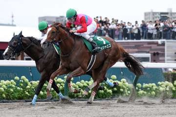 【エルムＳ】ペイシャエスが１年８カ月ぶりの復活Ｖで重賞３勝目