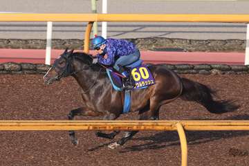 【安田記念】１週前追い　ソウルラッシュは一杯に追われ３馬身先着　池江師「しまいまで弾けるような動きをしていましたね」