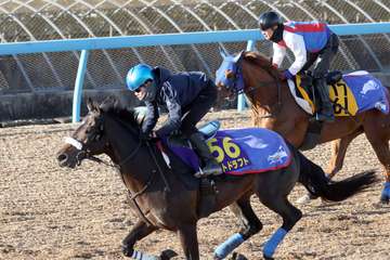 【有馬記念】ラストドラフトが豪快にラスト１１秒９　三浦騎手「年齢を感じさせない」