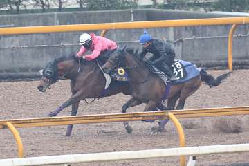 【皐月賞】１週前追い　ジャスティンミラノは３頭併せで最先着　友道師「しっかり負荷を掛けていい動き」