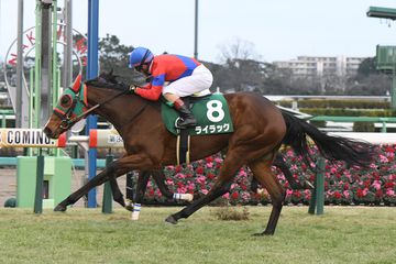 ライラックは石川裕紀人騎手と有馬記念へ　相沢師「ファン投票よろしくお願いします」