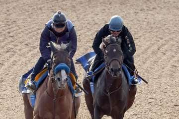 【今週の注目新馬】母が米ＧⅠ馬の良血ショウナンアムロ　尾関師は軽さ、柔らかさが芝向きと評価