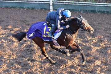 【朝日杯ＦＳ　トレセン特選マイク】タガノエルピーダ・斉藤崇史調教師「いいスピードを持っています」