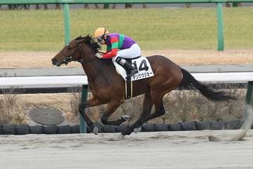 【３歳新馬・中山３Ｒ】テンクウジョーが早め先頭から快勝　鞍上は伸びしろに期待