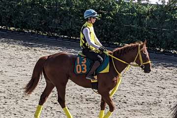 【今日の注目新馬】マイネルウォーリア砂適性の高さは折り紙付き／中山３Ｒ