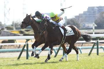 【３歳新馬・中山５Ｒ】ヒラボクミニーが接戦を制して初陣Ｖ