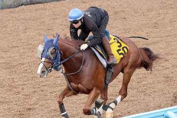 【シリウスS】オメガギネス半馬身先着　3カ月半ぶりも楽な手応えでラスト11秒2