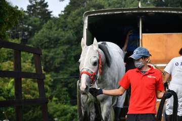 ダート重賞３勝のリュウノユキナが現役引退　アロースタッドで種牡馬入り