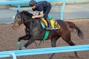 【福島ＴＶオープン】エターナルタイムはＷコースで１馬身先着　久々でも態勢ＯＫ