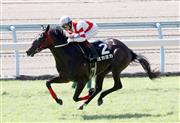 【ひまわり賞】熊本県産馬ヨカヨカがデビュー３連勝