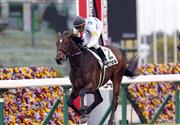 【阪神５Ｒ・新馬】７番人気アクセルがマイペースの逃げ切り勝ち